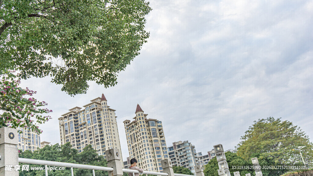 城市中的高楼与绿树景观