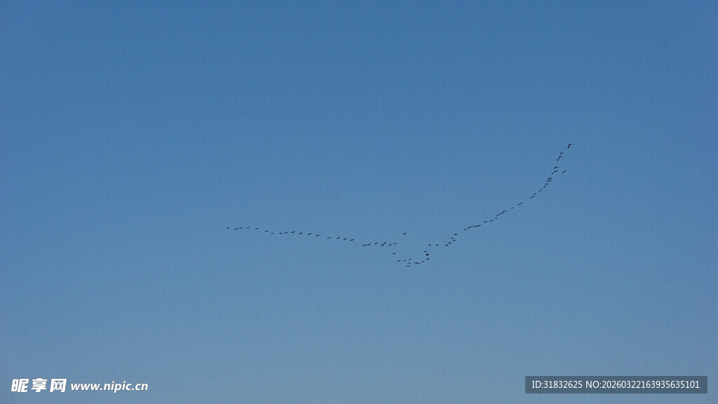 蓝天中飞翔的细长轨迹