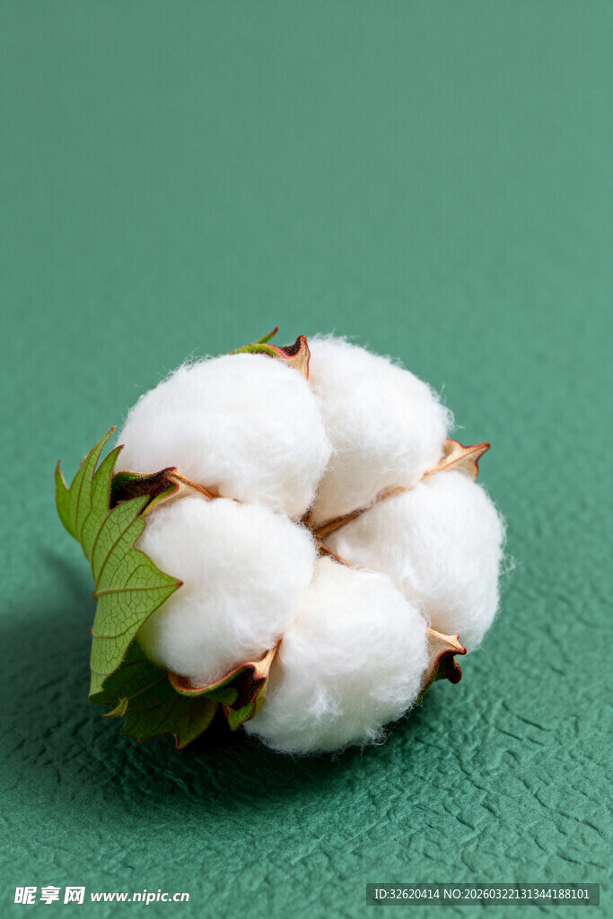 白色棉花
