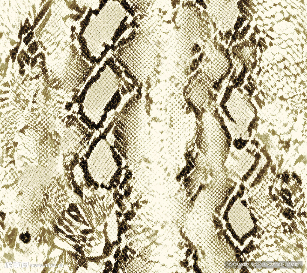 蛇皮纹理图案