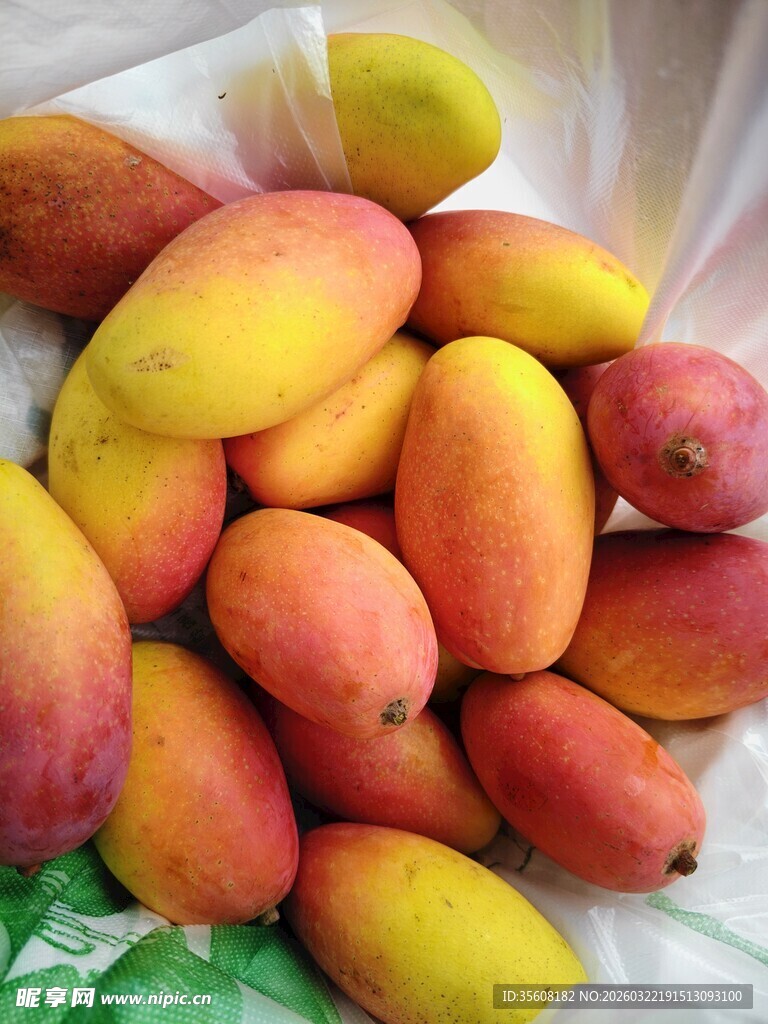 新鲜多彩芒果堆放在一起