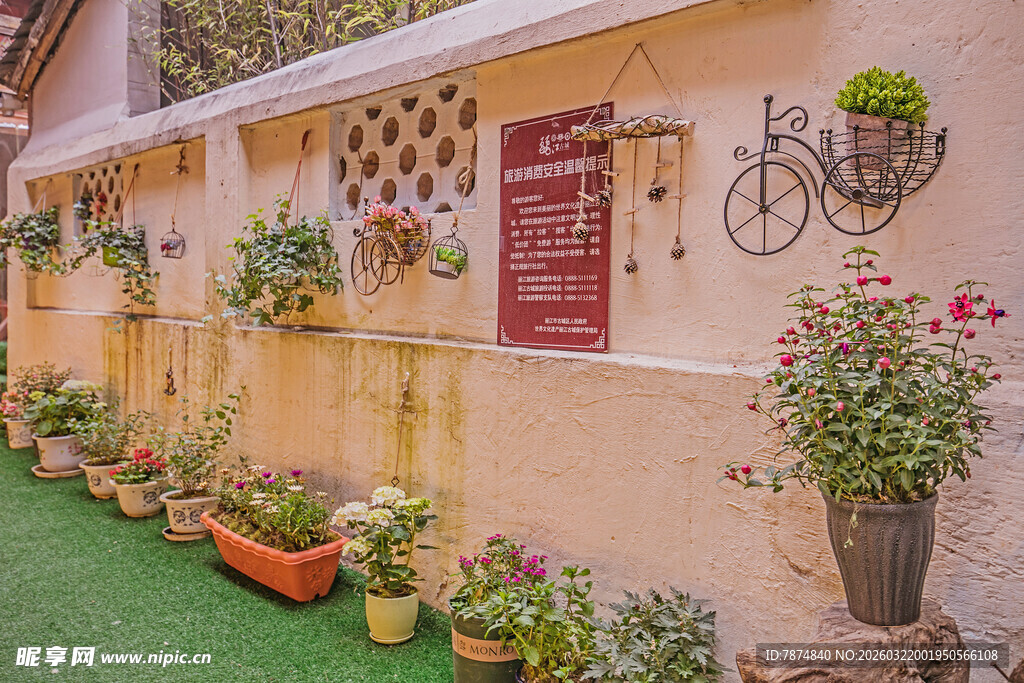 墙面绿植装饰的温馨角落