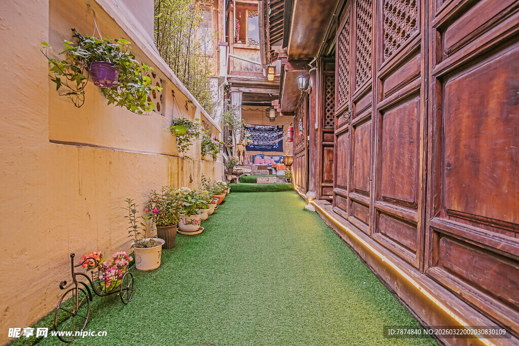 温馨绿植装点的狭窄小巷