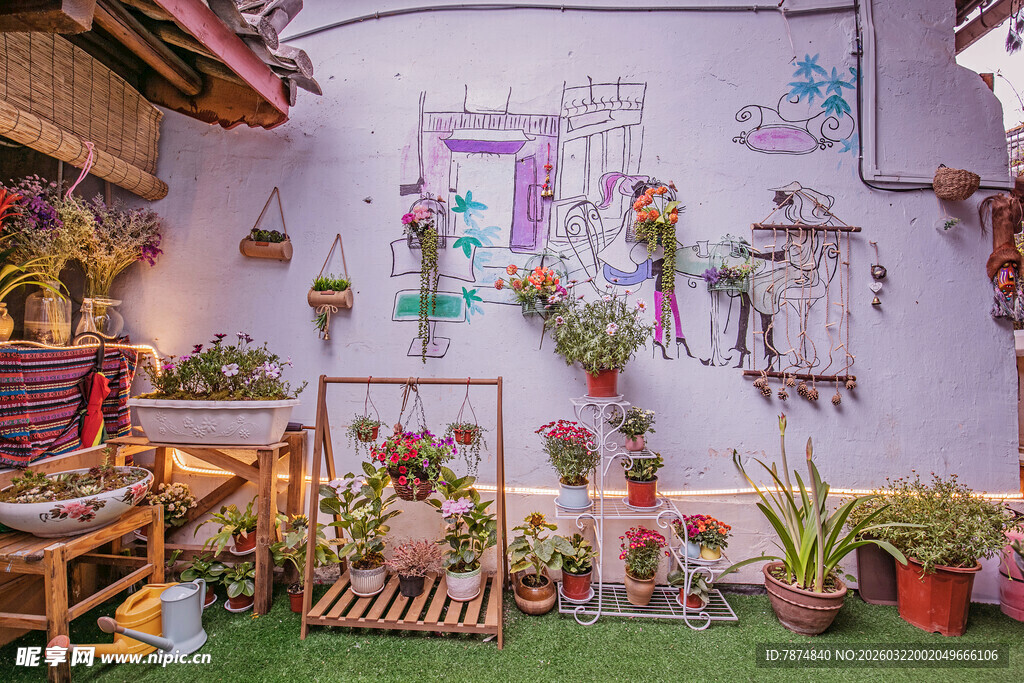 室内绿植花卉装饰一角