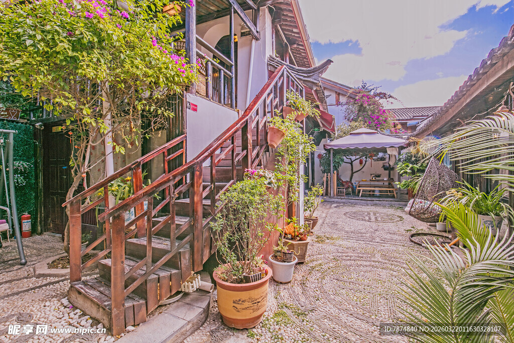 温馨小院 绿植环绕的角落