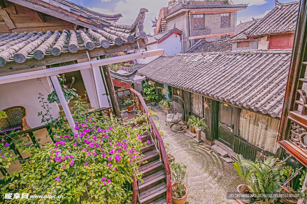 古巷庭院绿植环绕景致美