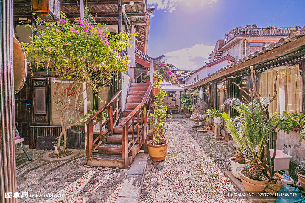 古巷小院的绿植景致