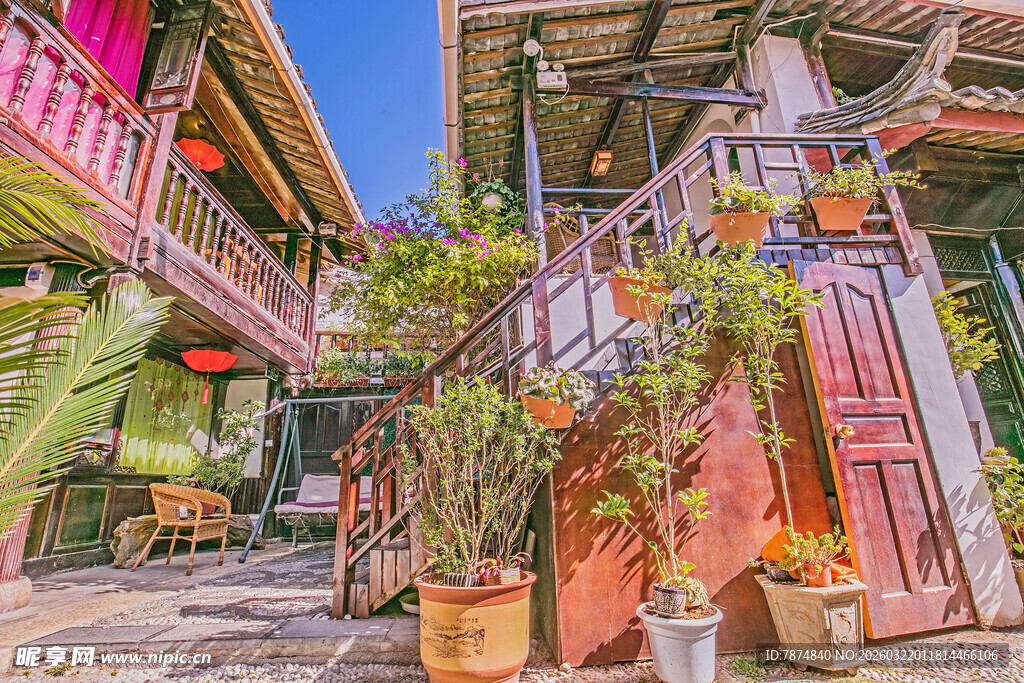 色彩斑斓的庭院绿植景观