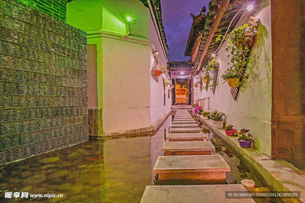 古巷夜景 石板路旁绿植点缀