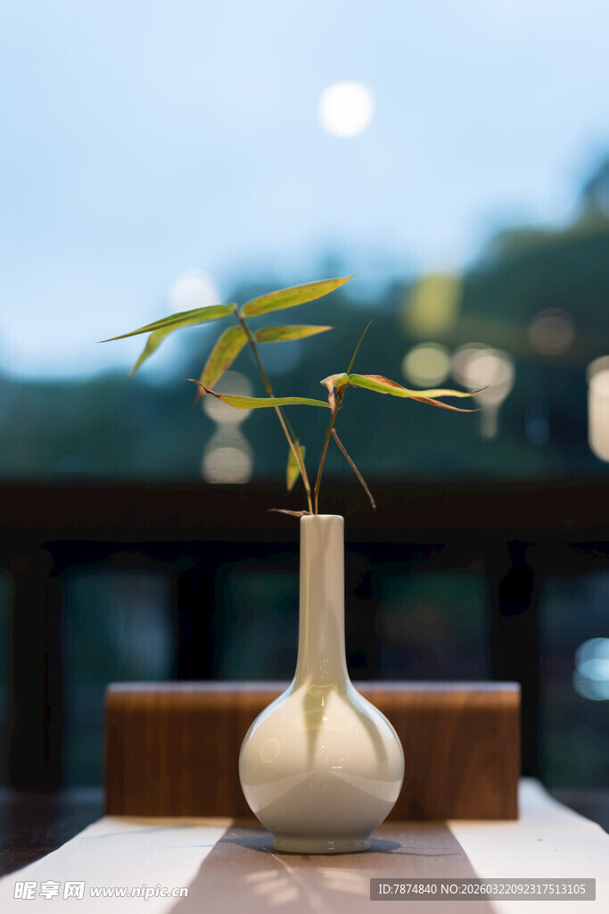 素雅白瓶插绿植赏心