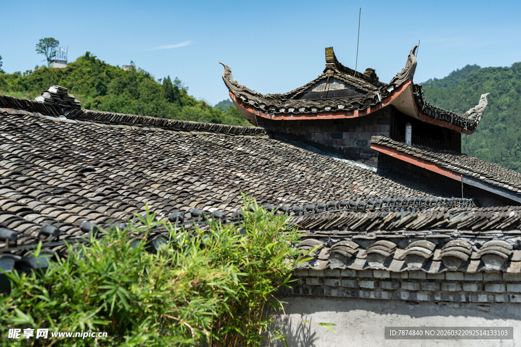 中式古建屋顶与葱郁绿植