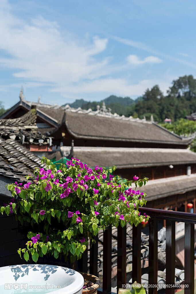 中式屋顶旁的烂漫花卉景观