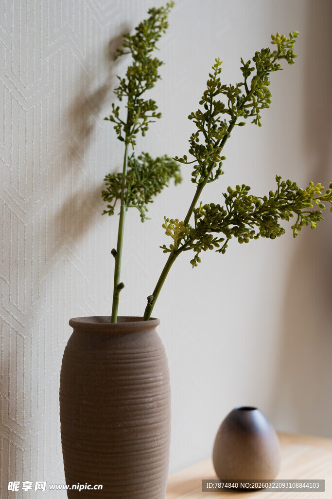 陶瓶绿植 简约室内小景