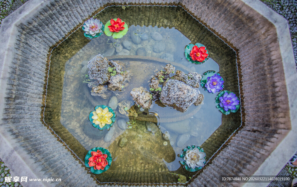 中式庭院水池花卉景观