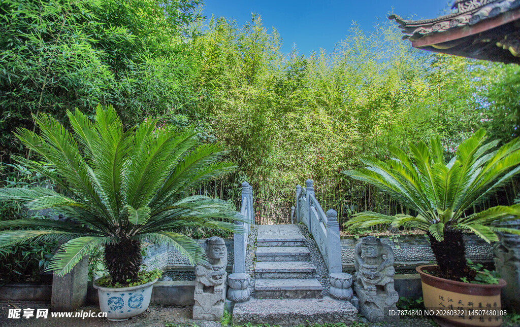 中式庭院绿植与石阶景观