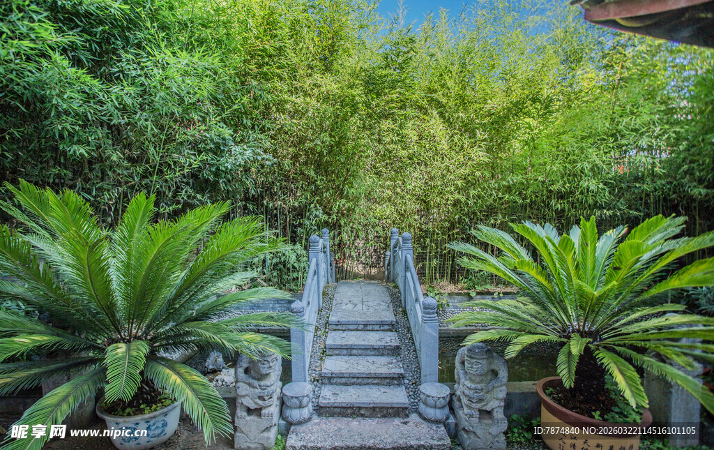 绿意环绕的石阶小径