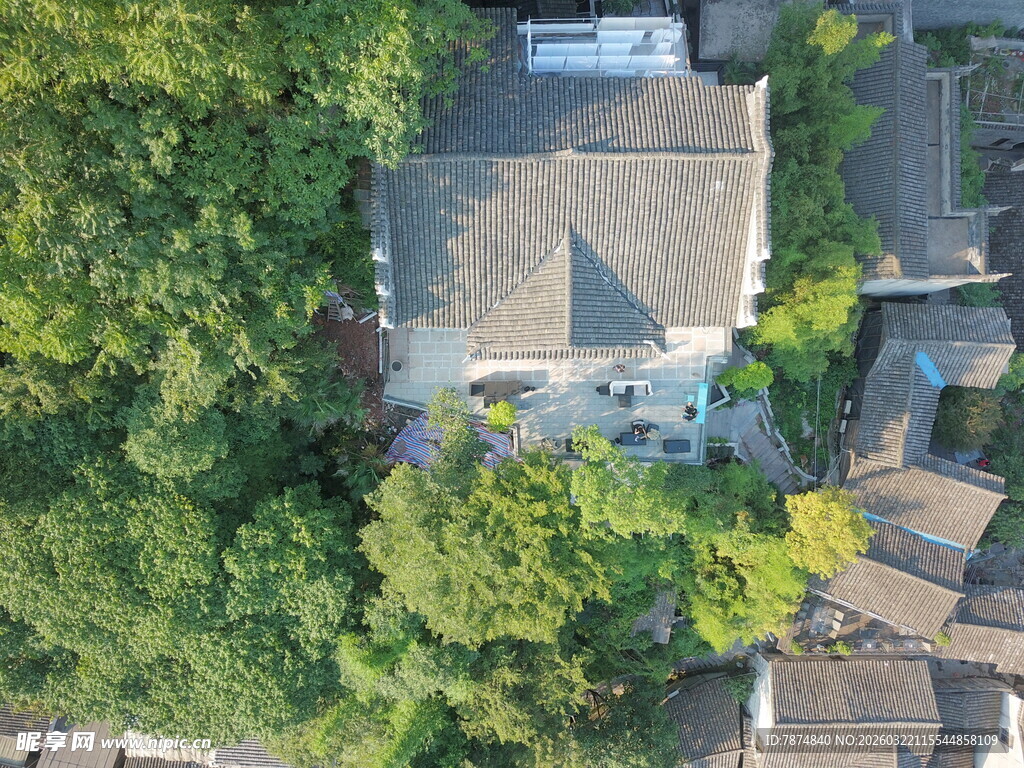 绿树环绕的宁静庭院