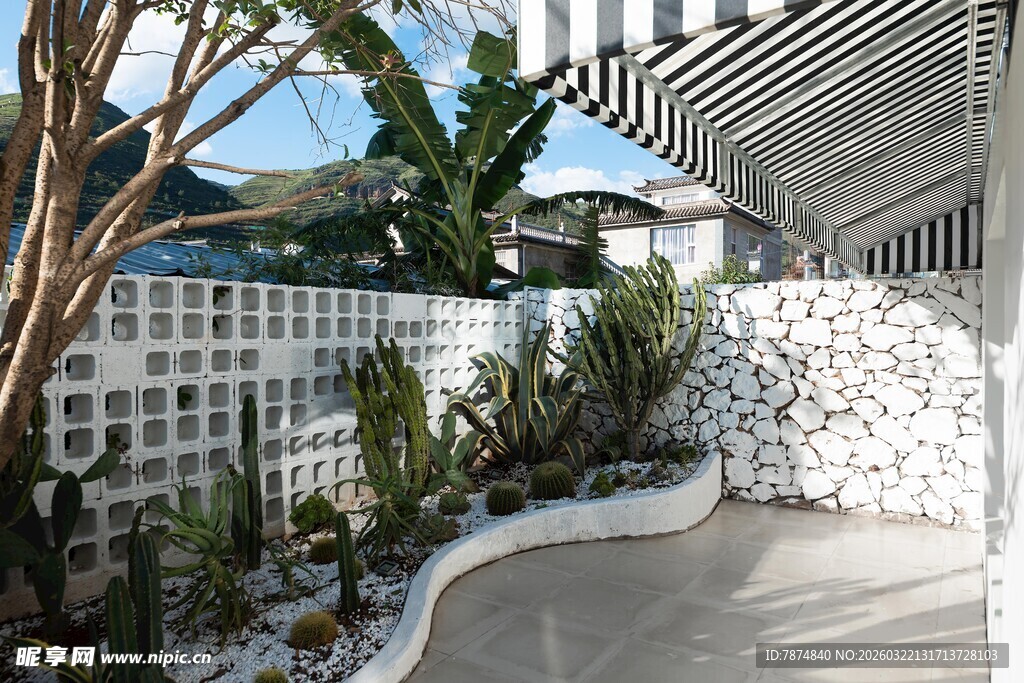 庭院角落绿植景观