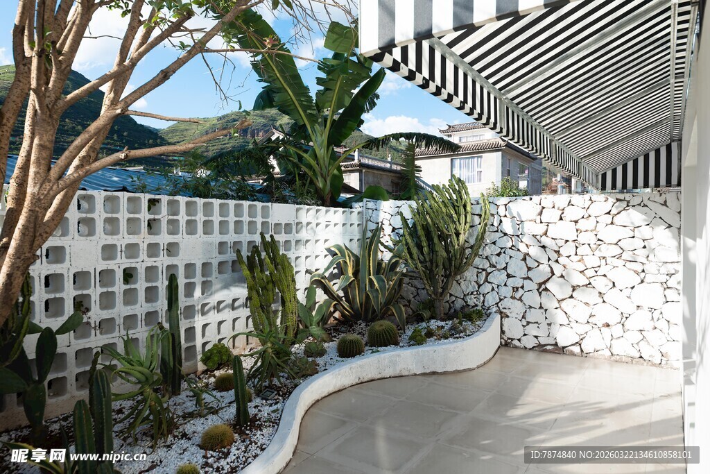 庭院角落绿植景观