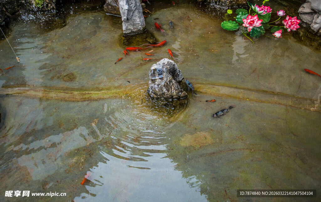 庭院中的灵动水景石