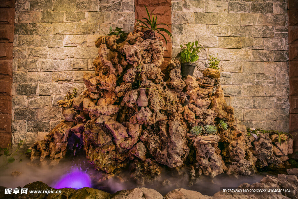 独特苔藓景观造型