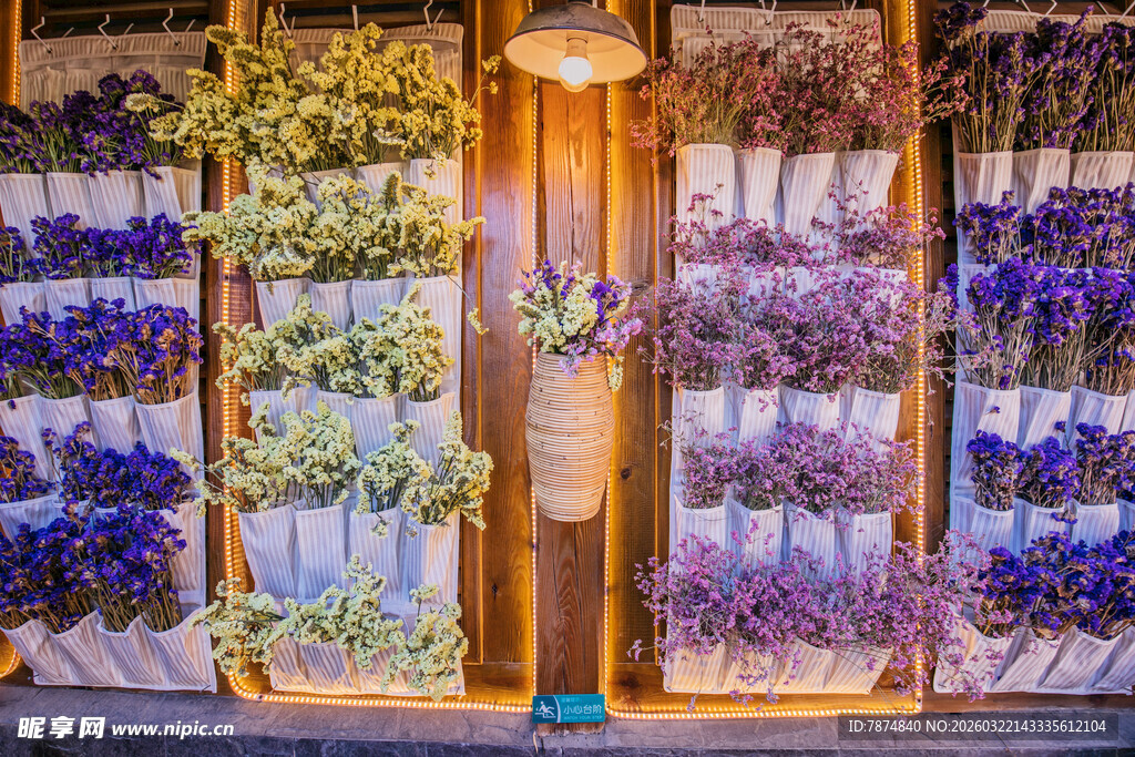 梦幻花店花卉展示