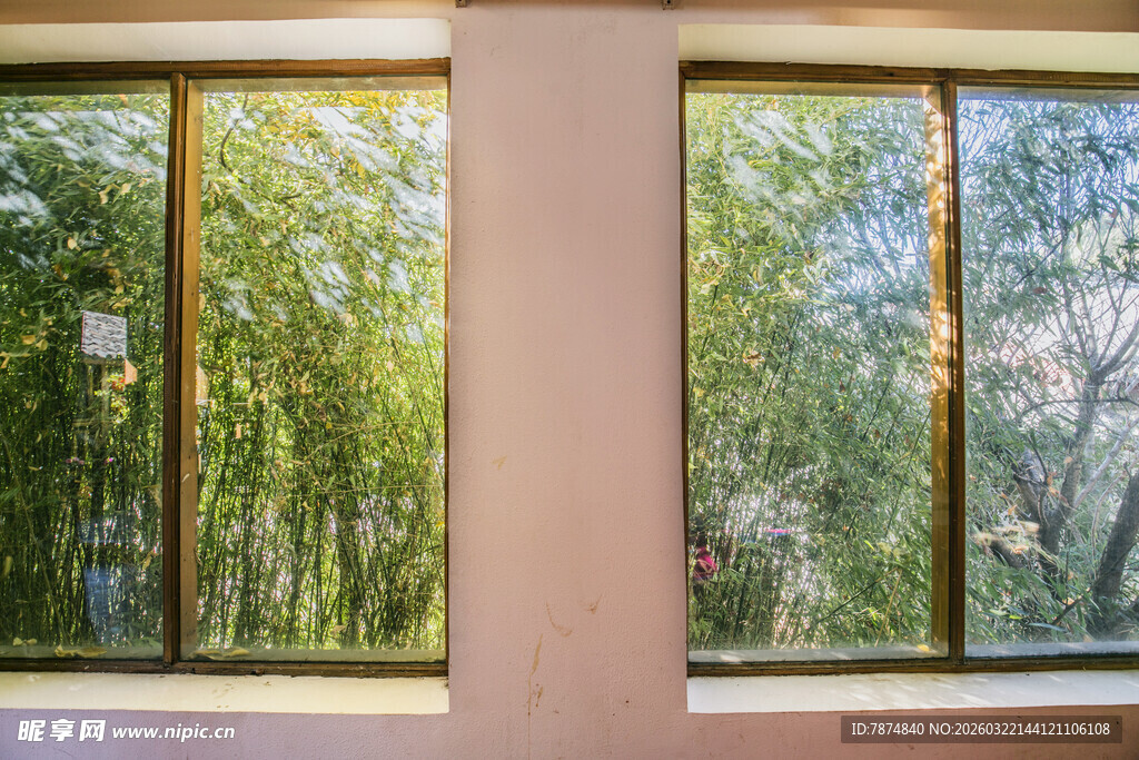 窗外绿意盎然的景致