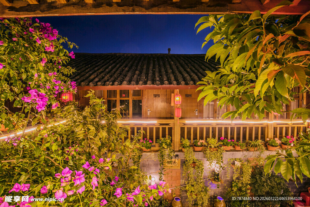 夜幕下的浪漫庭院景致