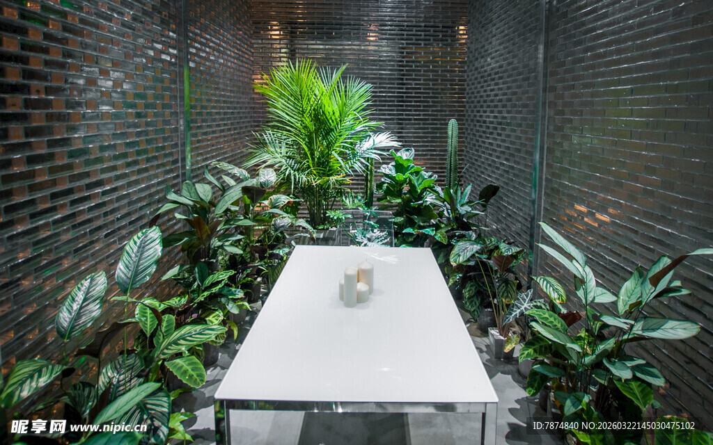 庭院中的绿植与白色小桌