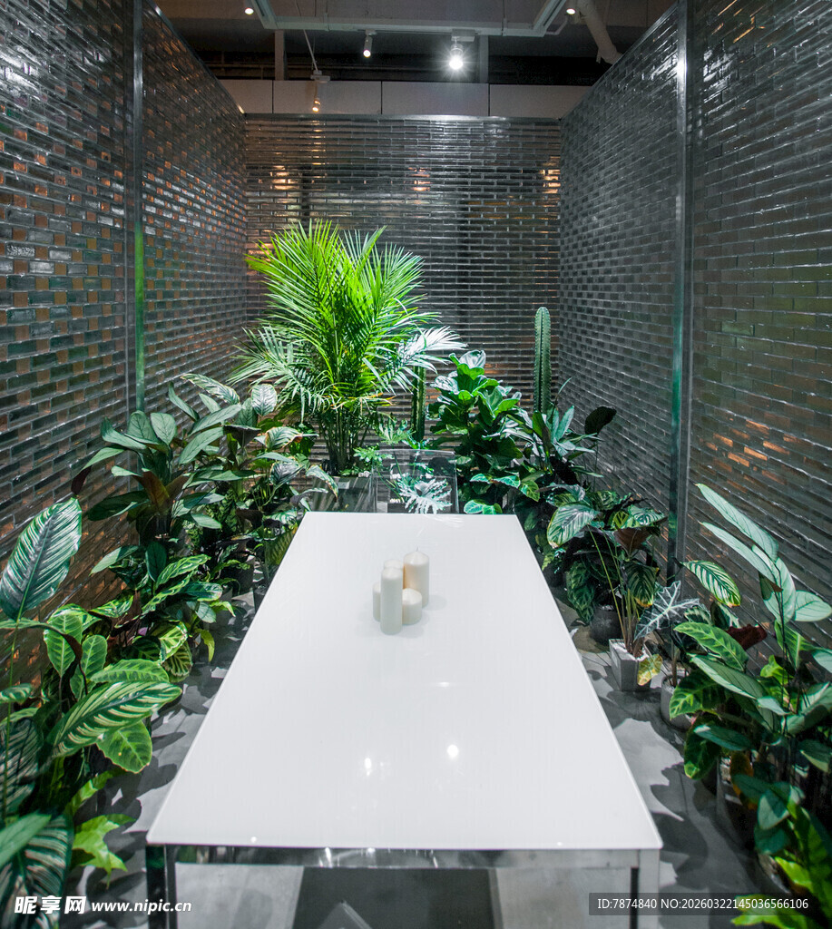 室内绿植环绕的白色台面