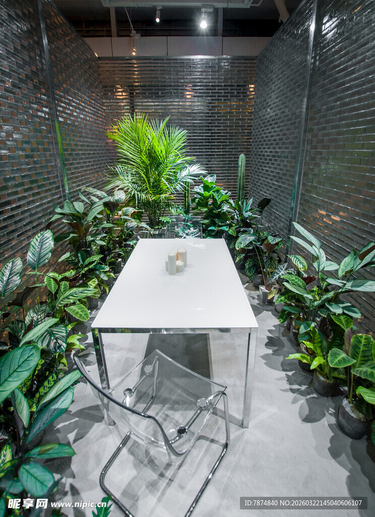 室内绿植环绕的简约小桌