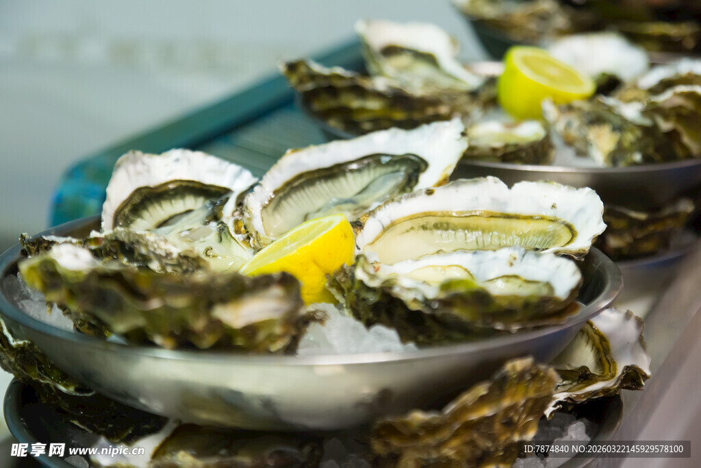 新鲜生蚝摆盘展示