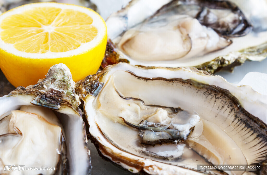 新鲜生蚝搭配柠檬