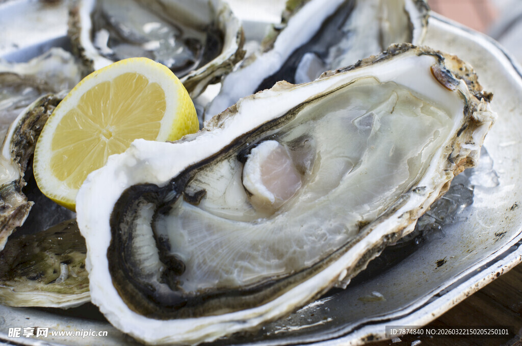 新鲜生蚝配柠檬