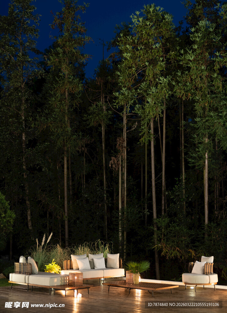 林间夜晚户外休闲场景