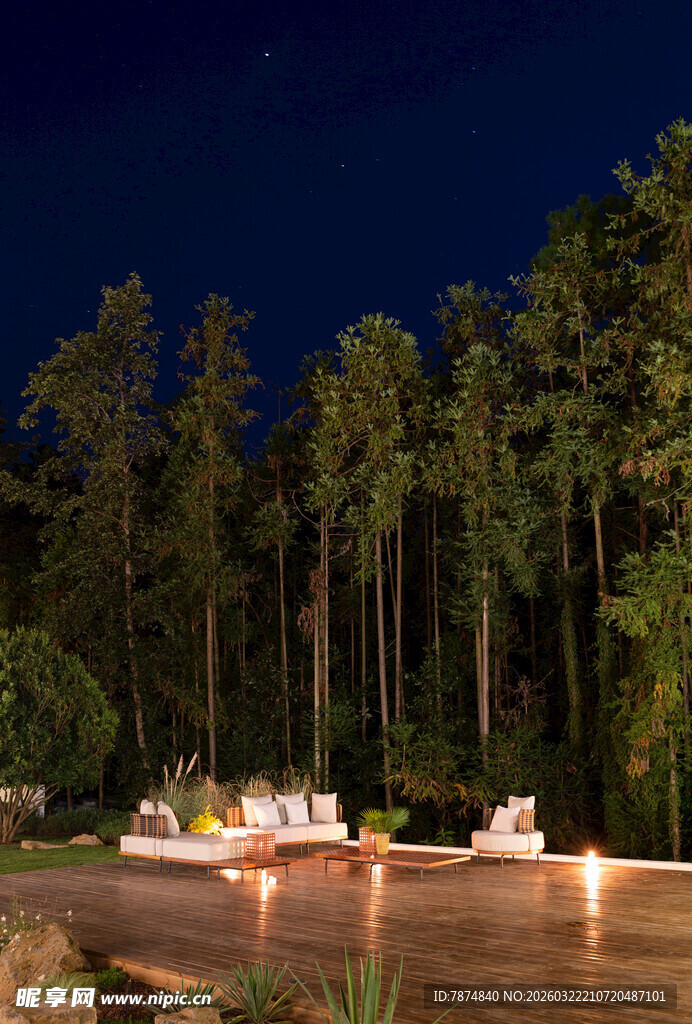 森林湖畔夜景 静谧美好