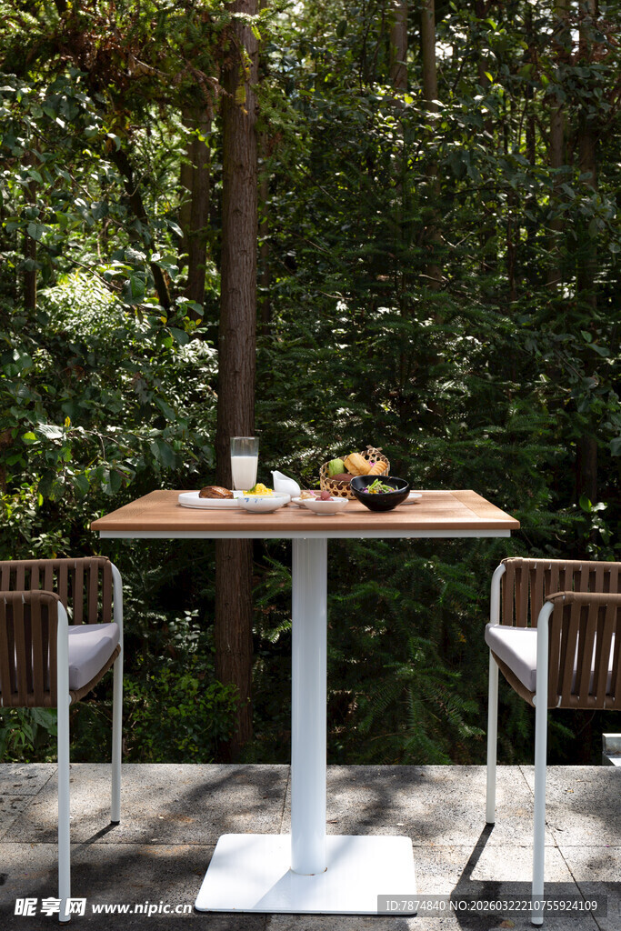 户外庭院木质桌椅景观