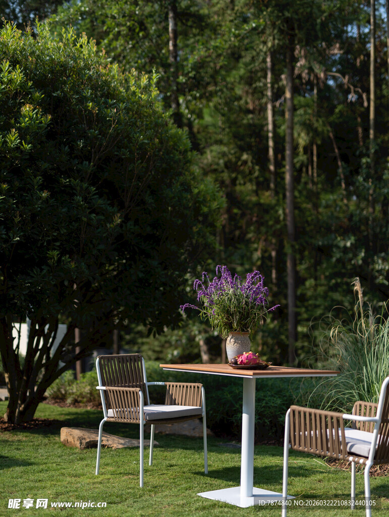 户外庭院休闲桌椅景观
