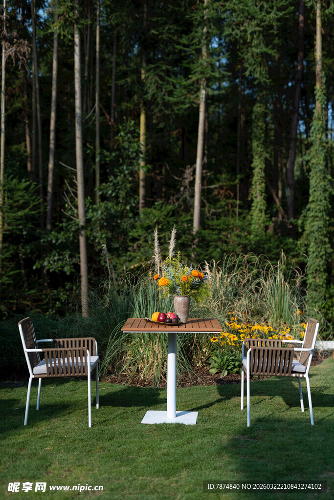 林间户外休闲桌椅布置场景
