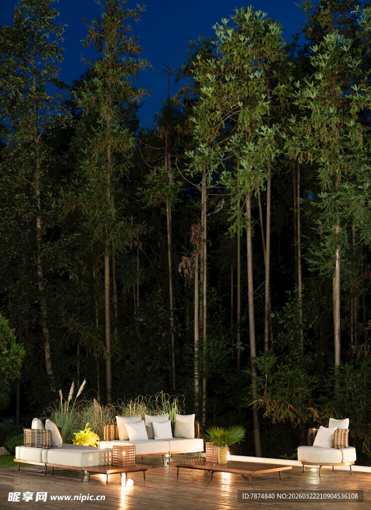 森林中的户外休闲惬意场景