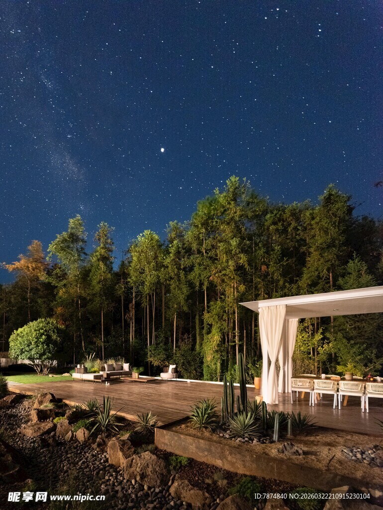 森林星空下的户外休闲场景