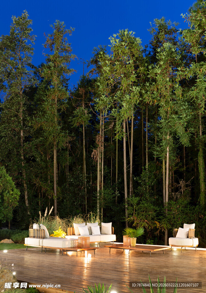 森林中的户外休闲聚会场地