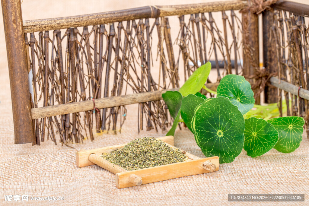 绿茶的绿植与晾晒物