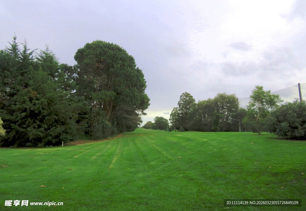 奥克兰高尔夫球场风景