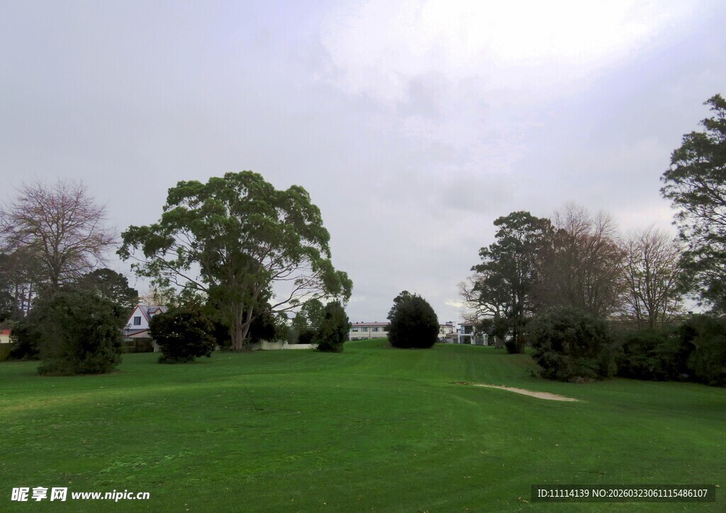 高尔夫球场风景
