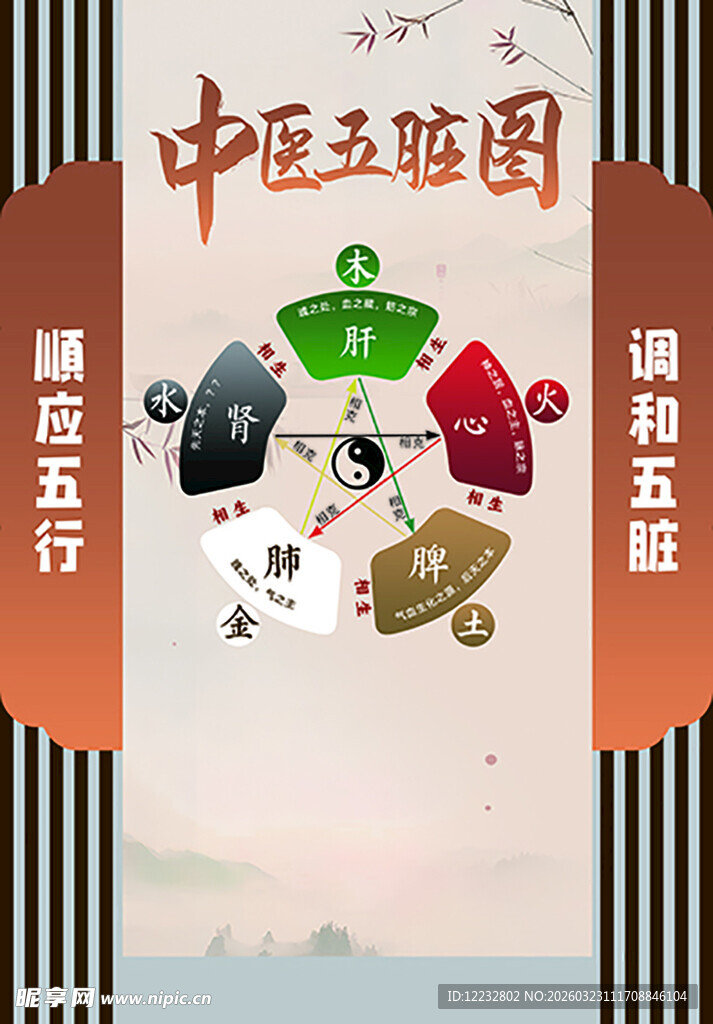 中医五脏图