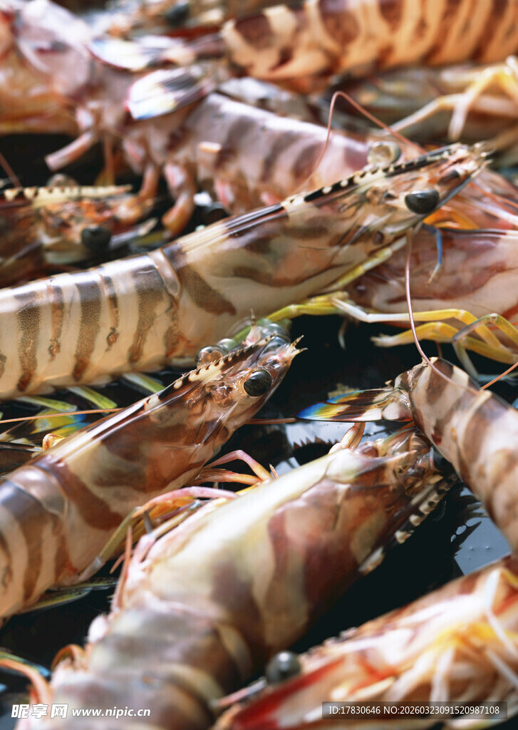 新鲜烤虾色泽诱人