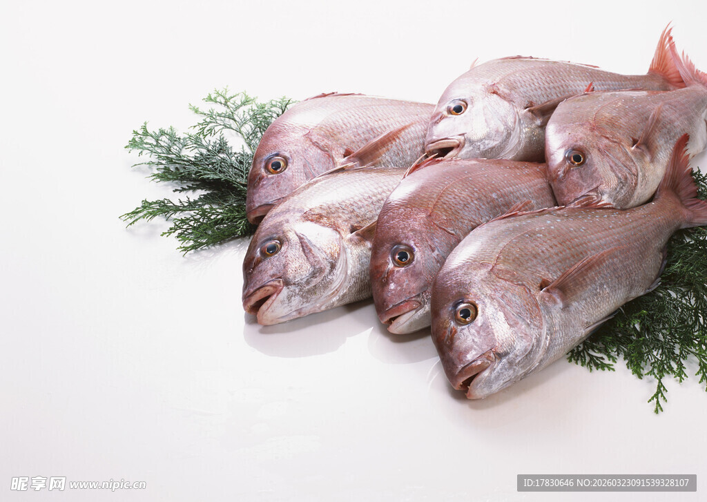 新鲜多宝鱼搭配绿植摆盘