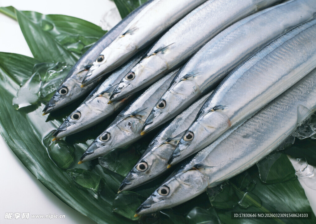 新鲜多春鱼摆放在绿叶上