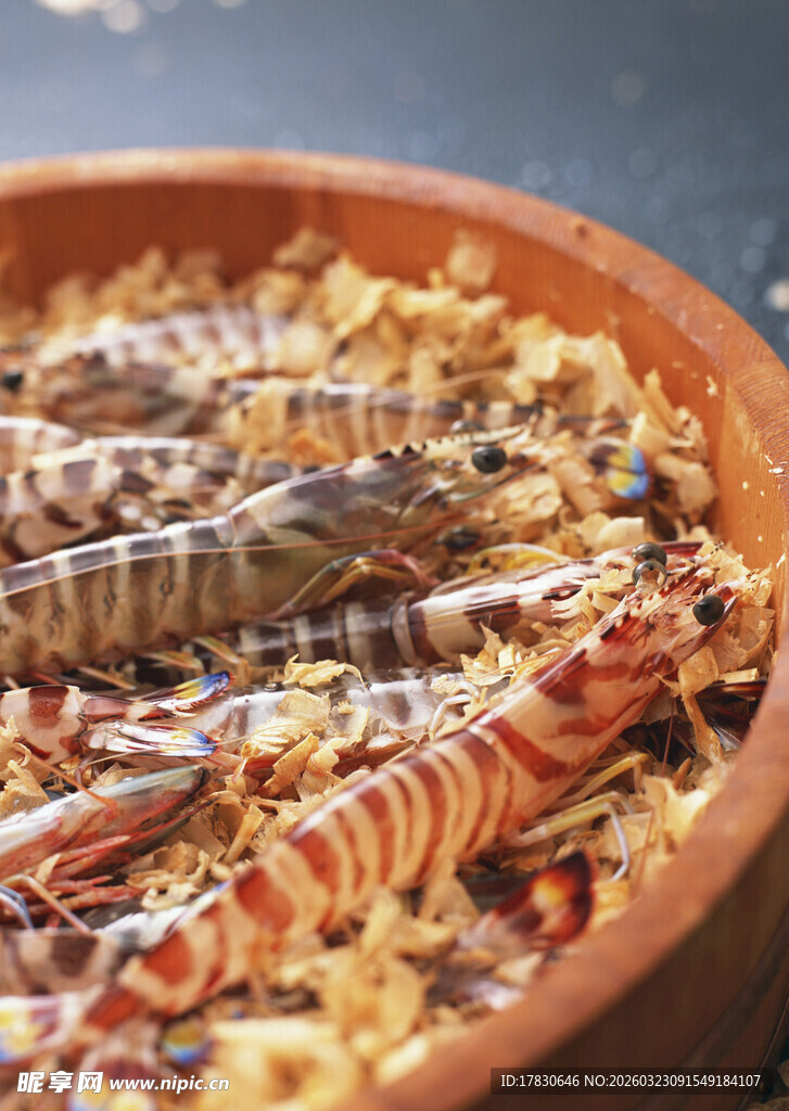 碗中多彩虾蛄特写